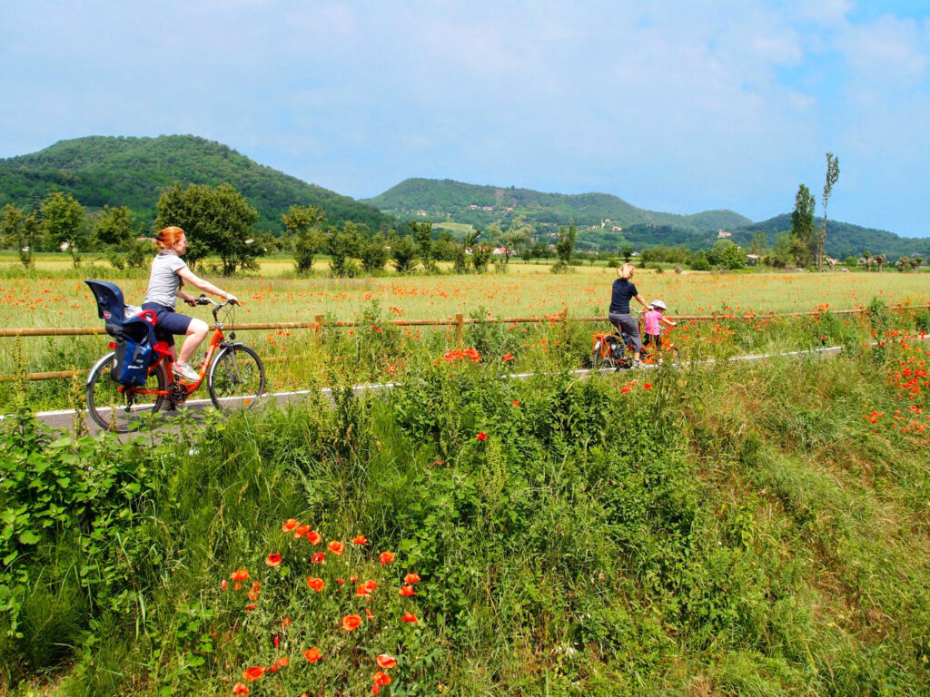 Family cycling among flowers on the trails of the Euganean Hills